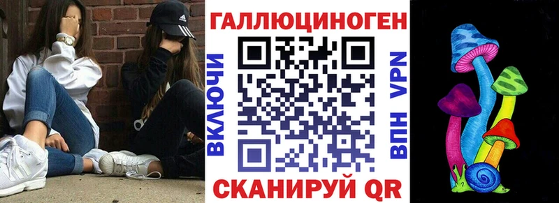 где найти наркотики  Комсомольск  Галлюциногенные грибы Psilocybine cubensis 